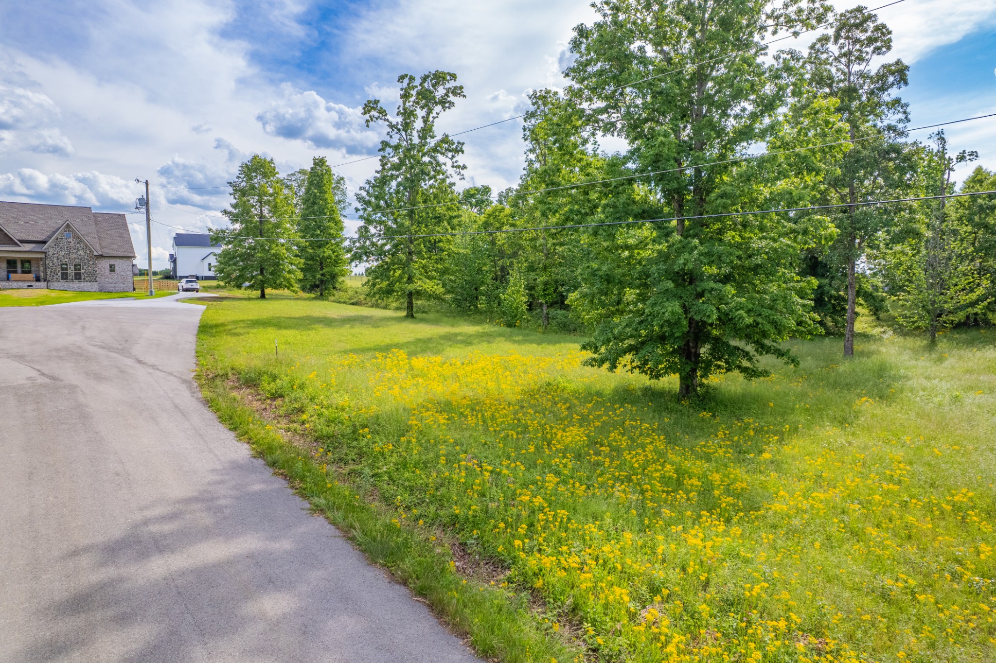 0 Wyshema Court Mount Pleasant TN 38474