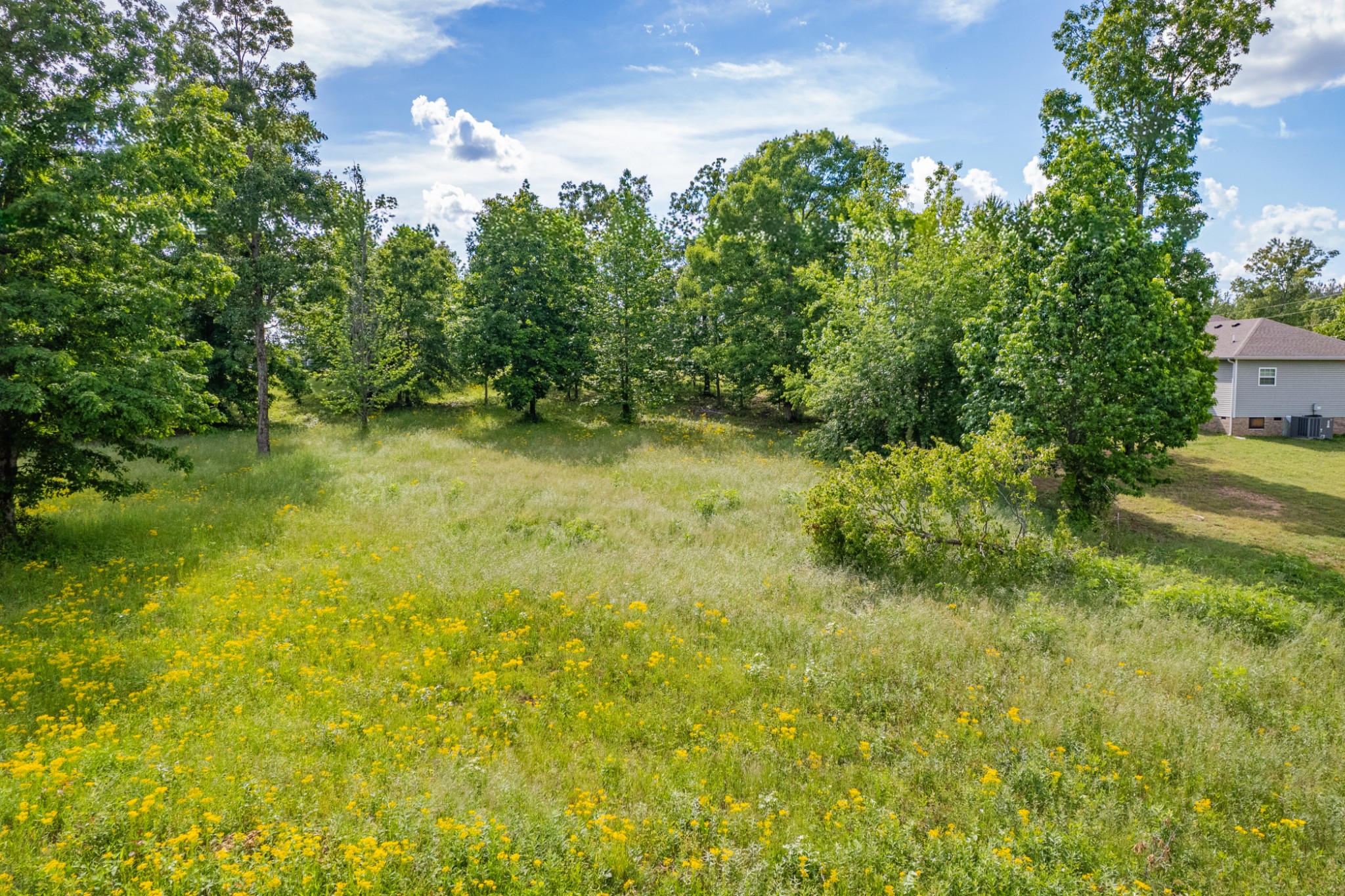 0 Wyshema Court Mount Pleasant TN 38474