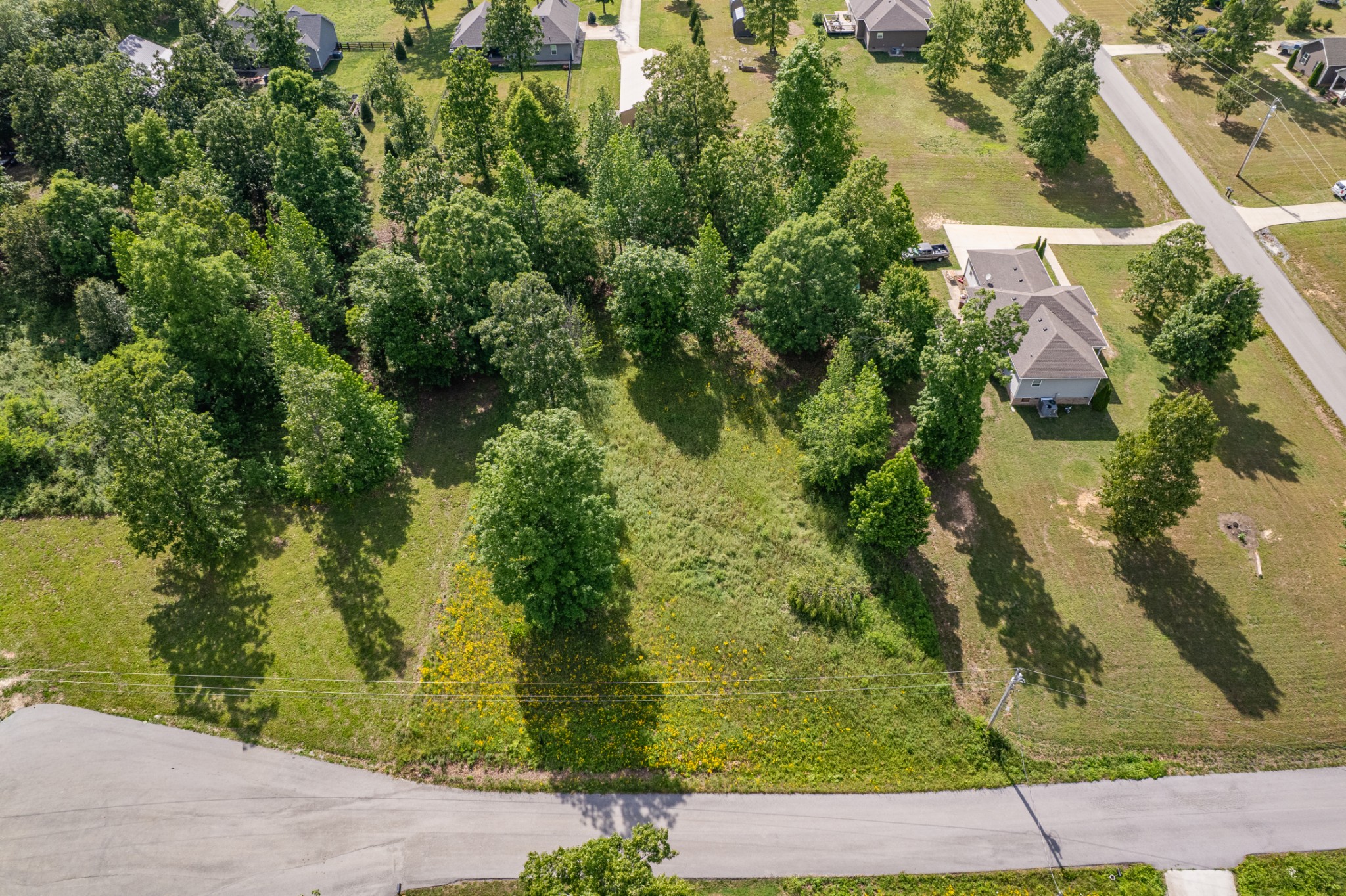 0 Wyshema Court Mount Pleasant TN 38474
