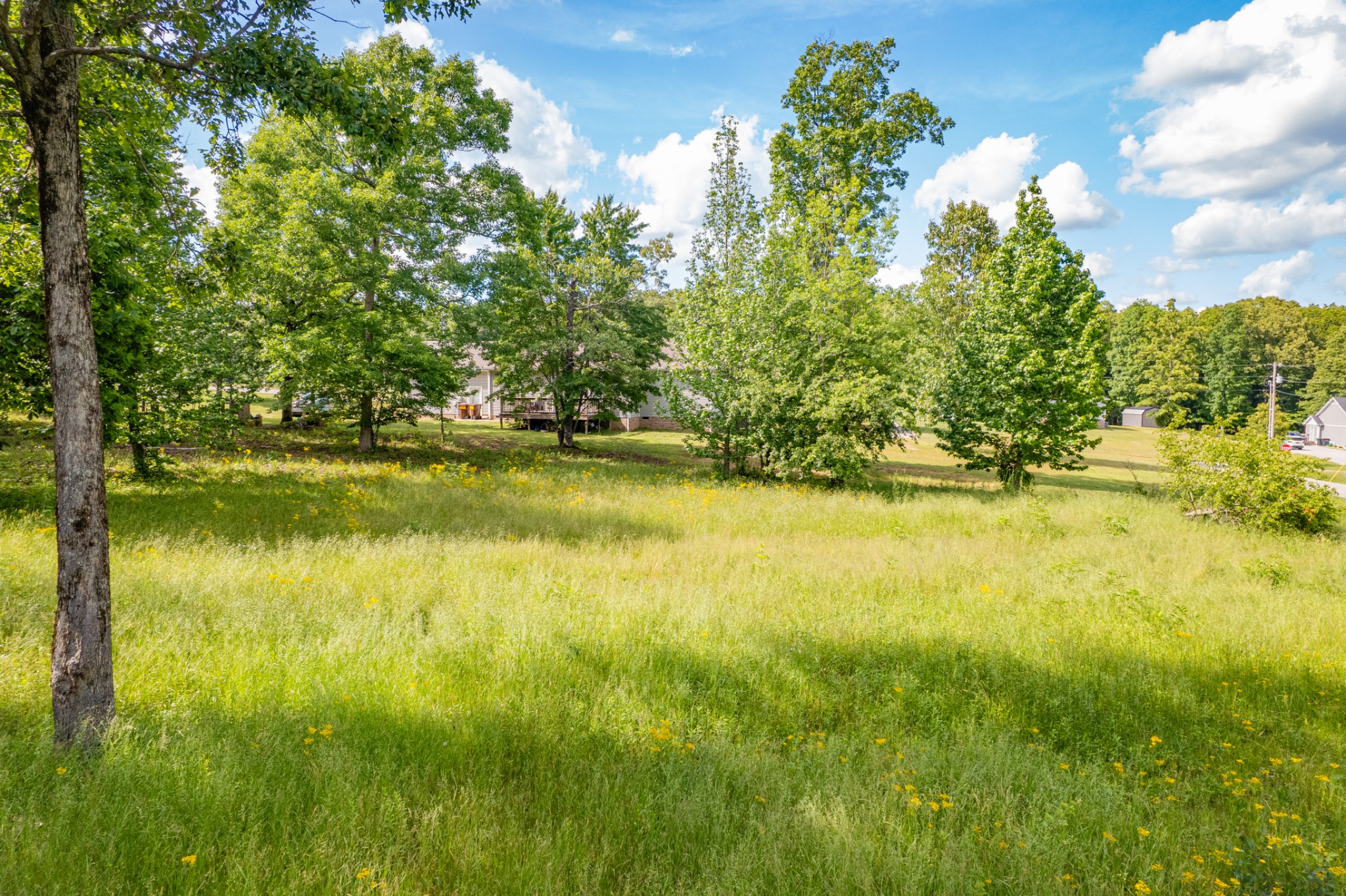 0 Wyshema Court Mount Pleasant TN 38474
