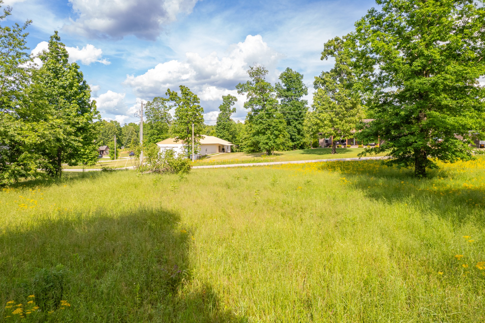 0 Wyshema Court Mount Pleasant TN 38474