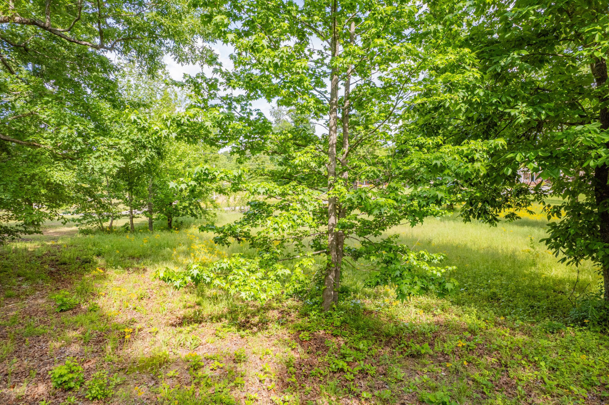 0 Wyshema Court Mount Pleasant TN 38474