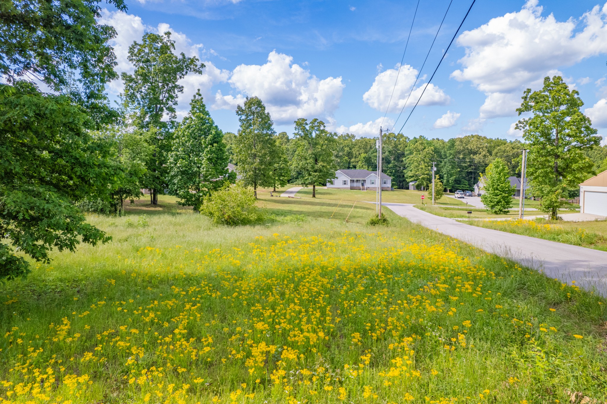 0 Wyshema Court Mount Pleasant TN 38474