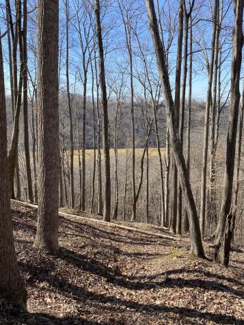 0 Bridge Pointe Road Sparta TN 38583