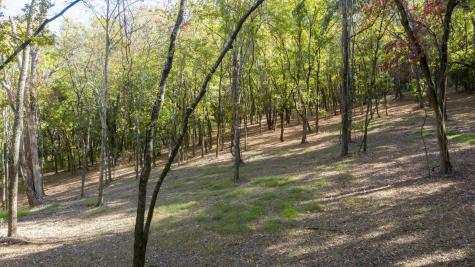 0 Steeplechase Lane Franklin TN 37069
