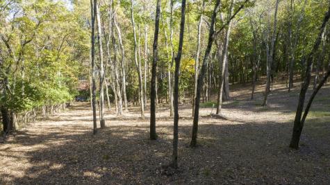 0 Steeplechase Lane Franklin TN 37069