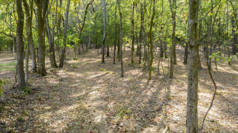 0 Steeplechase Lane Franklin TN 37069