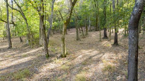0 Steeplechase Lane Franklin TN 37069