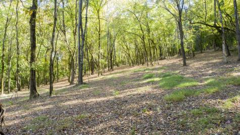 0 Steeplechase Lane Franklin TN 37069