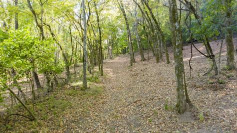 0 Steeplechase Lane Franklin TN 37069