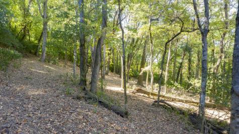 0 Steeplechase Lane Franklin TN 37069