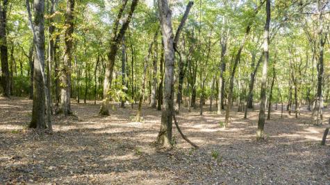 0 Steeplechase Lane Franklin TN 37069