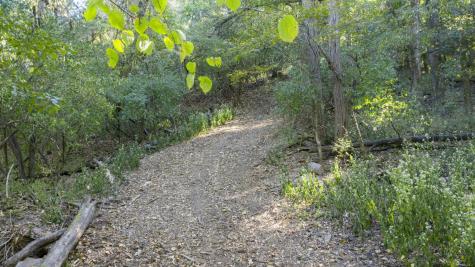 0 Steeplechase Lane Franklin TN 37069