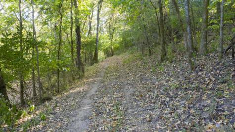 0 Steeplechase Lane Franklin TN 37069