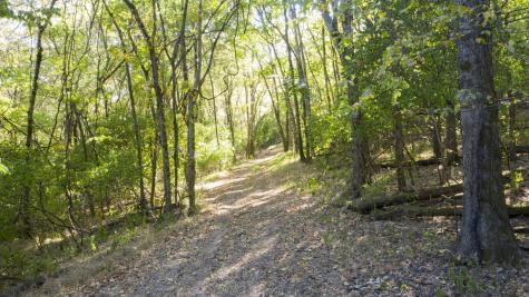 0 Steeplechase Lane Franklin TN 37069