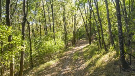 0 Steeplechase Lane Franklin TN 37069