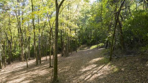 0 Steeplechase Lane Franklin TN 37069