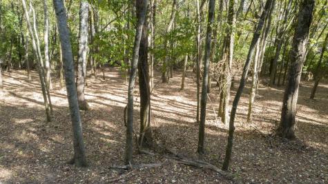 0 Steeplechase Lane Franklin TN 37069