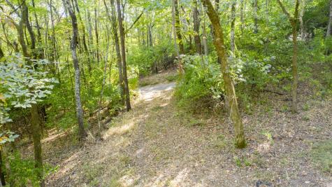 0 Steeplechase Lane Franklin TN 37069