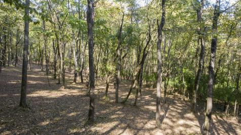 0 Steeplechase Lane Franklin TN 37069