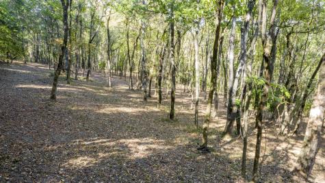 0 Steeplechase Lane Franklin TN 37069