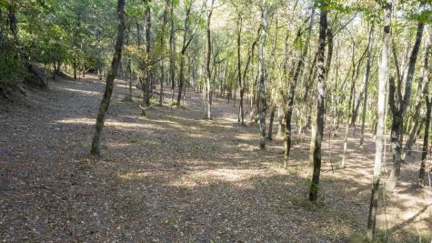 0 Steeplechase Lane Franklin TN 37069