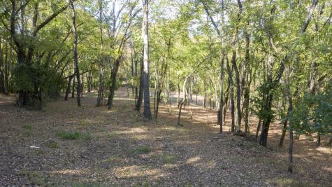 0 Steeplechase Lane Franklin TN 37069