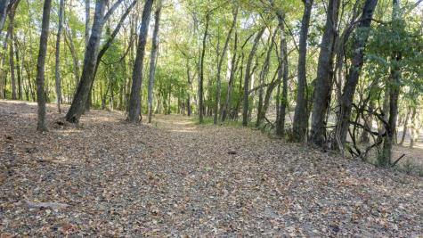 0 Steeplechase Lane Franklin TN 37069