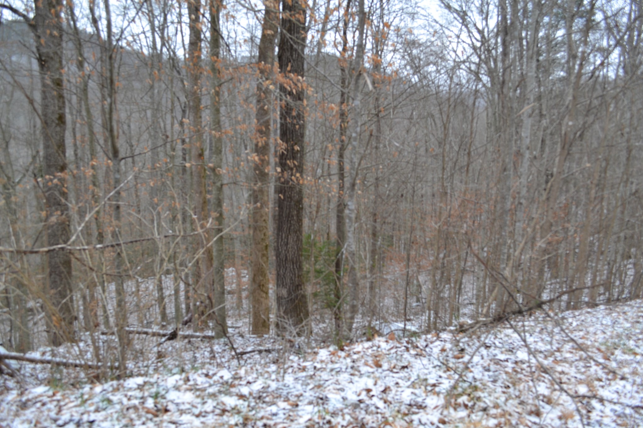0 Apache Road Jamestown TN 38556