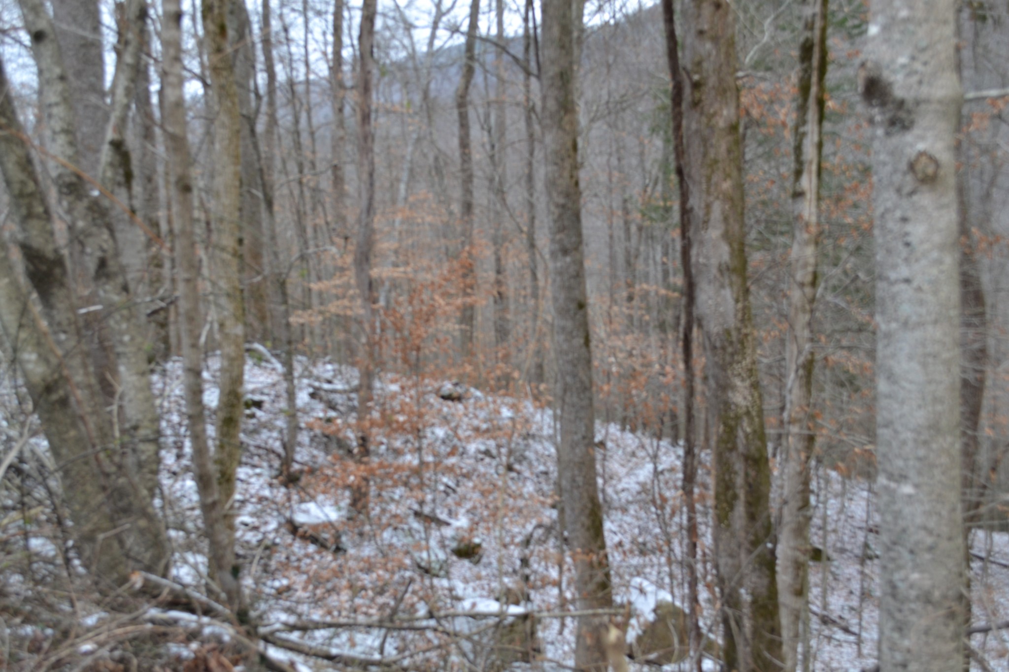 0 Apache Road Jamestown TN 38556