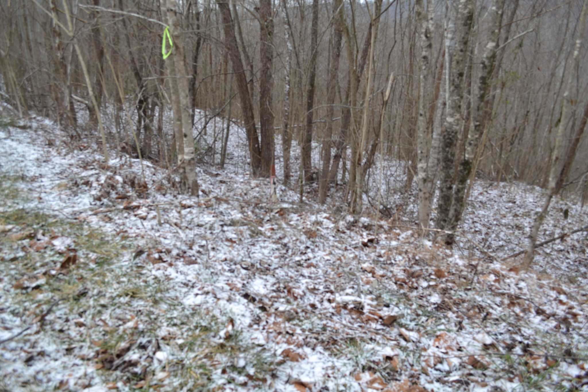 0 Apache Road Jamestown TN 38556