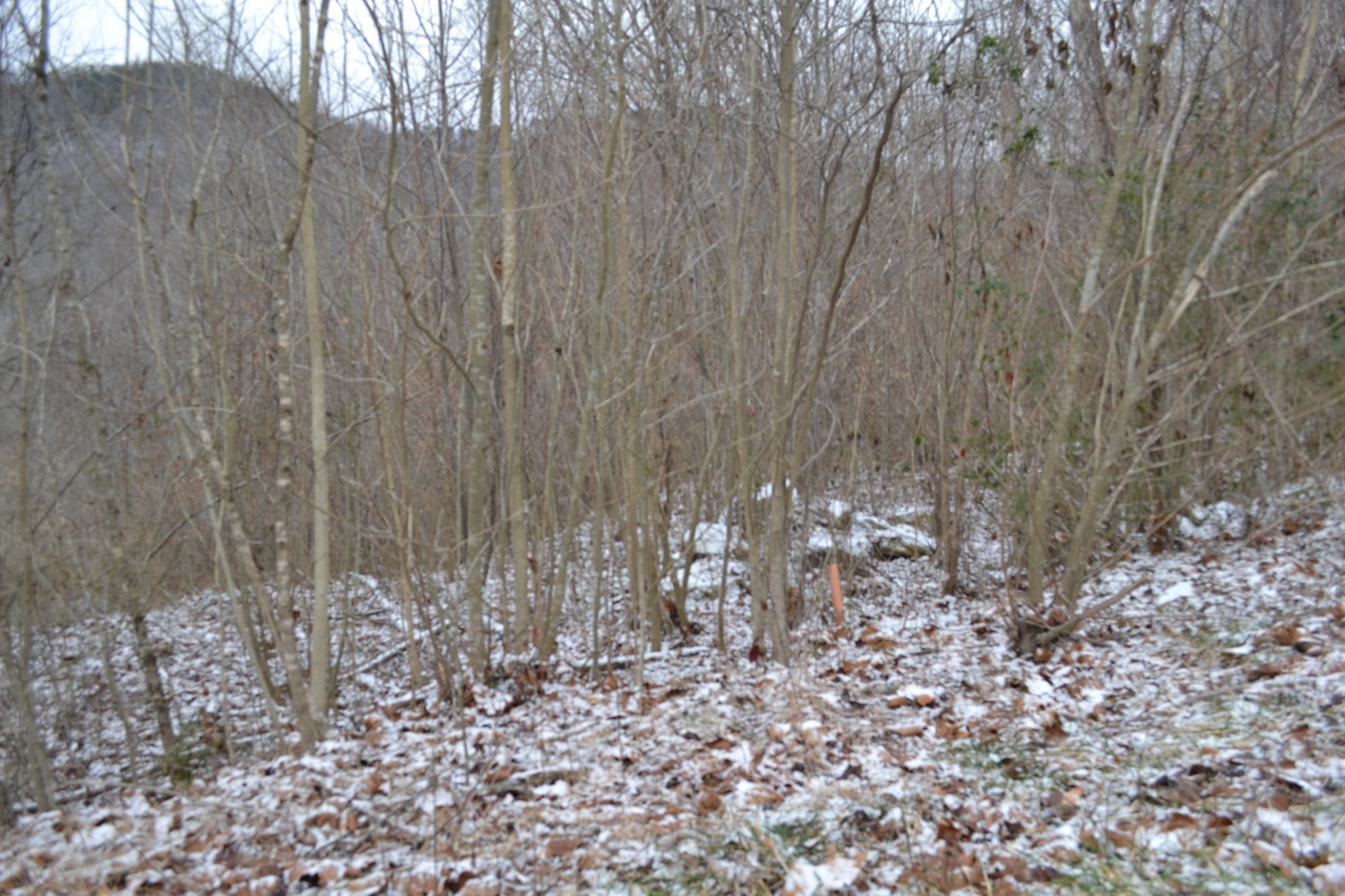0 Apache Road Jamestown TN 38556