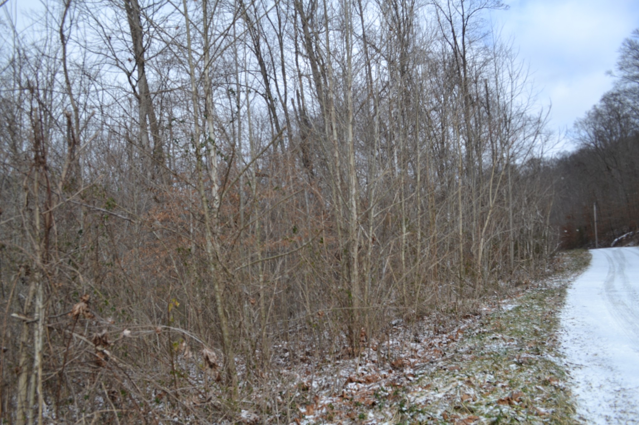 0 Apache Road Jamestown TN 38556