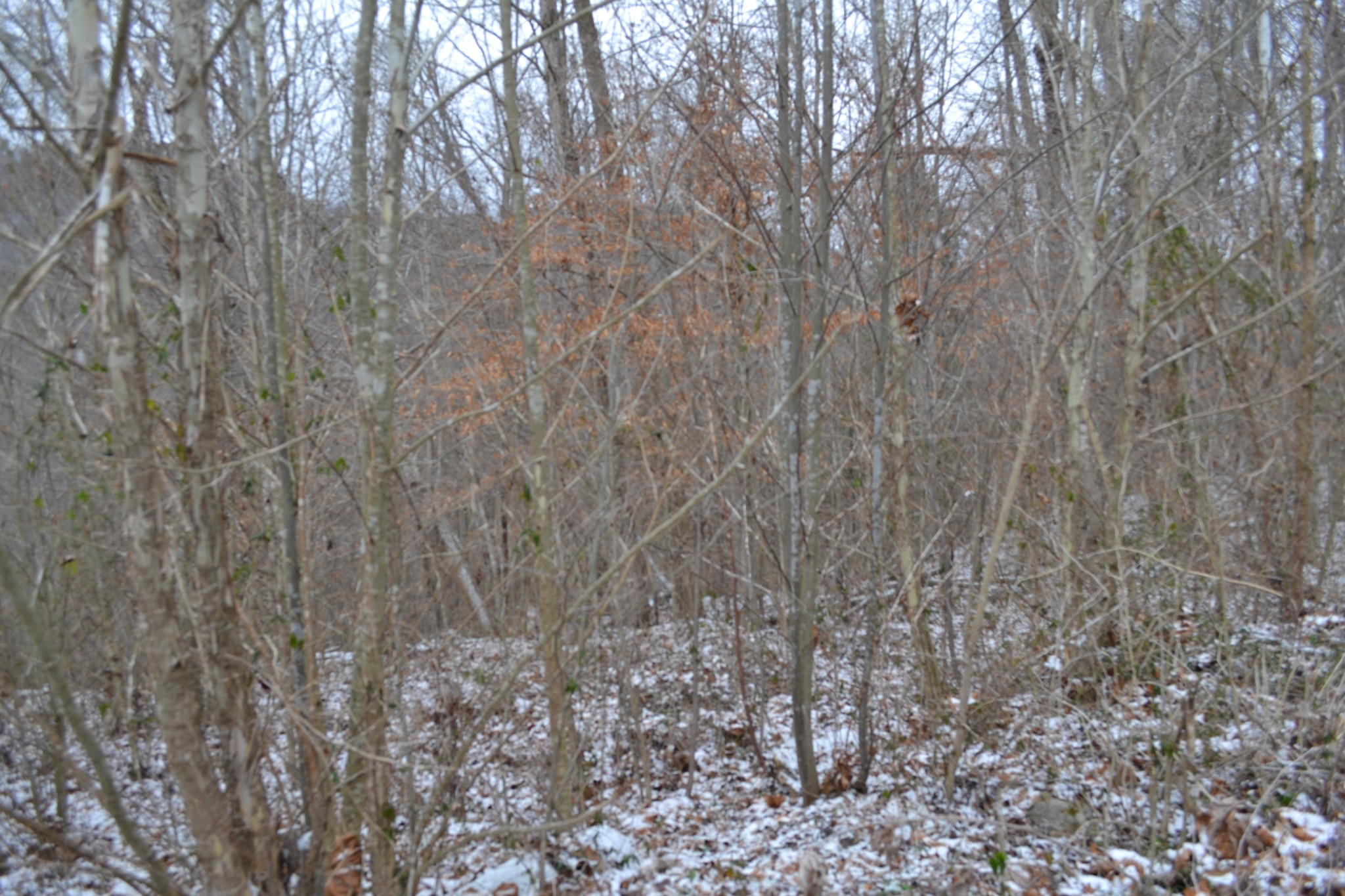 0 Apache Road Jamestown TN 38556