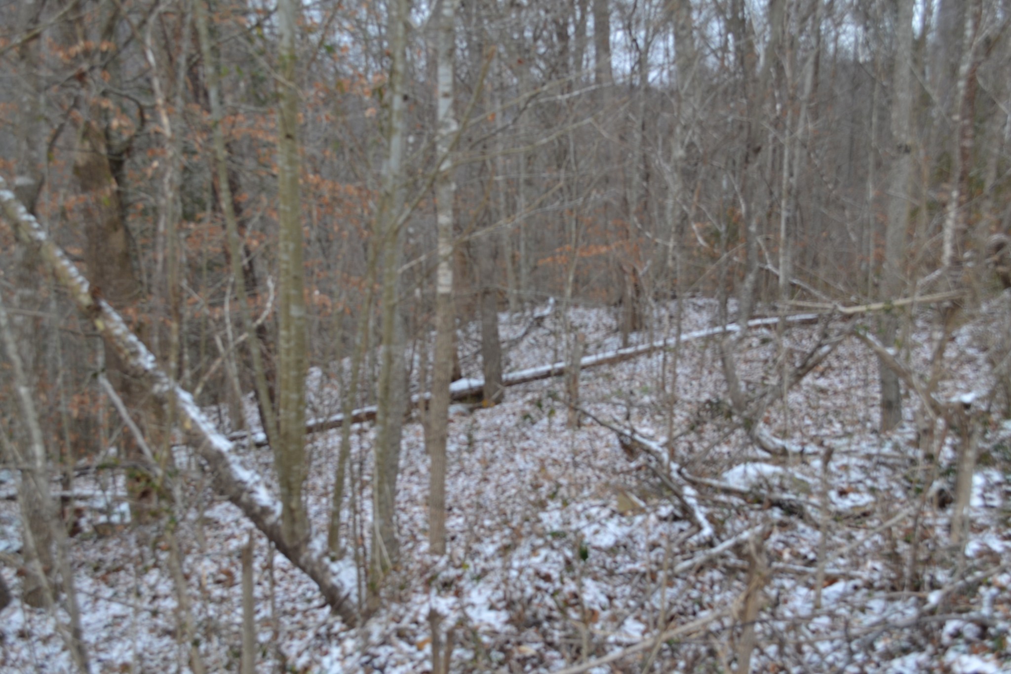 0 Apache Road Jamestown TN 38556