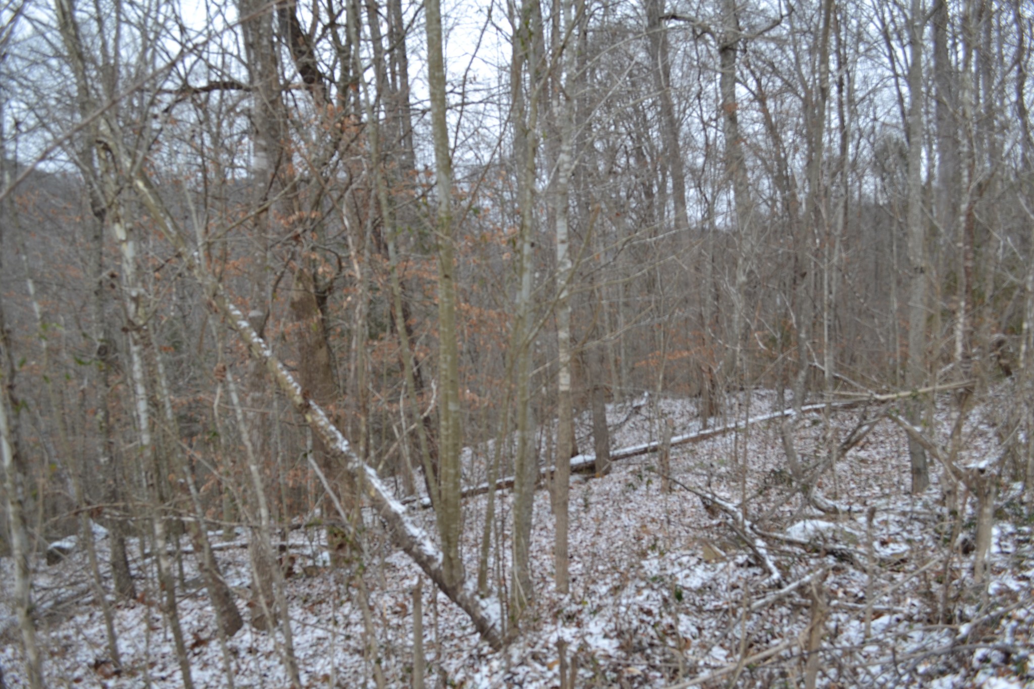 0 Apache Road Jamestown TN 38556