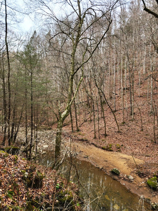 0 Apache Road Jamestown TN 38556