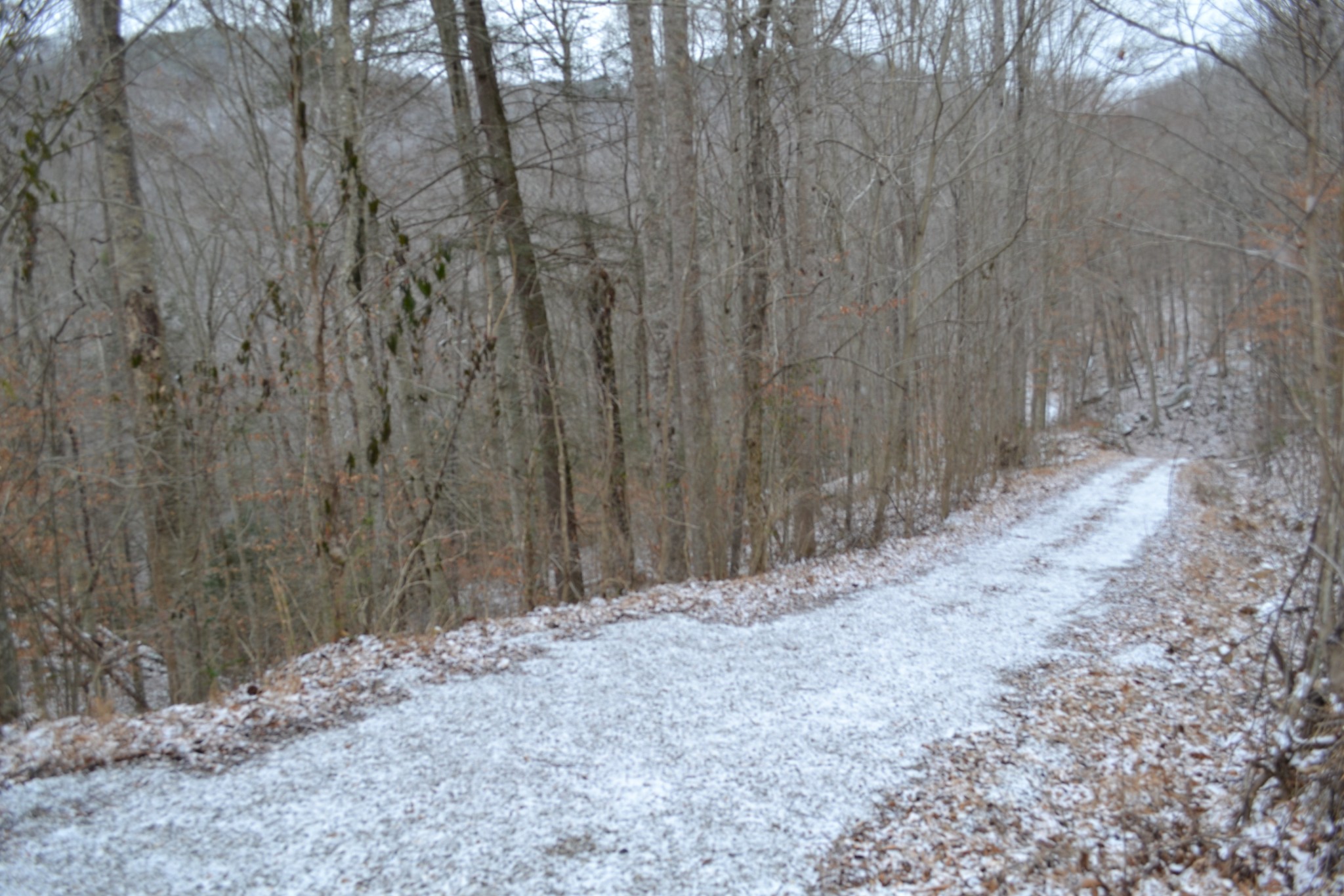 0 Apache Road Jamestown TN 38556
