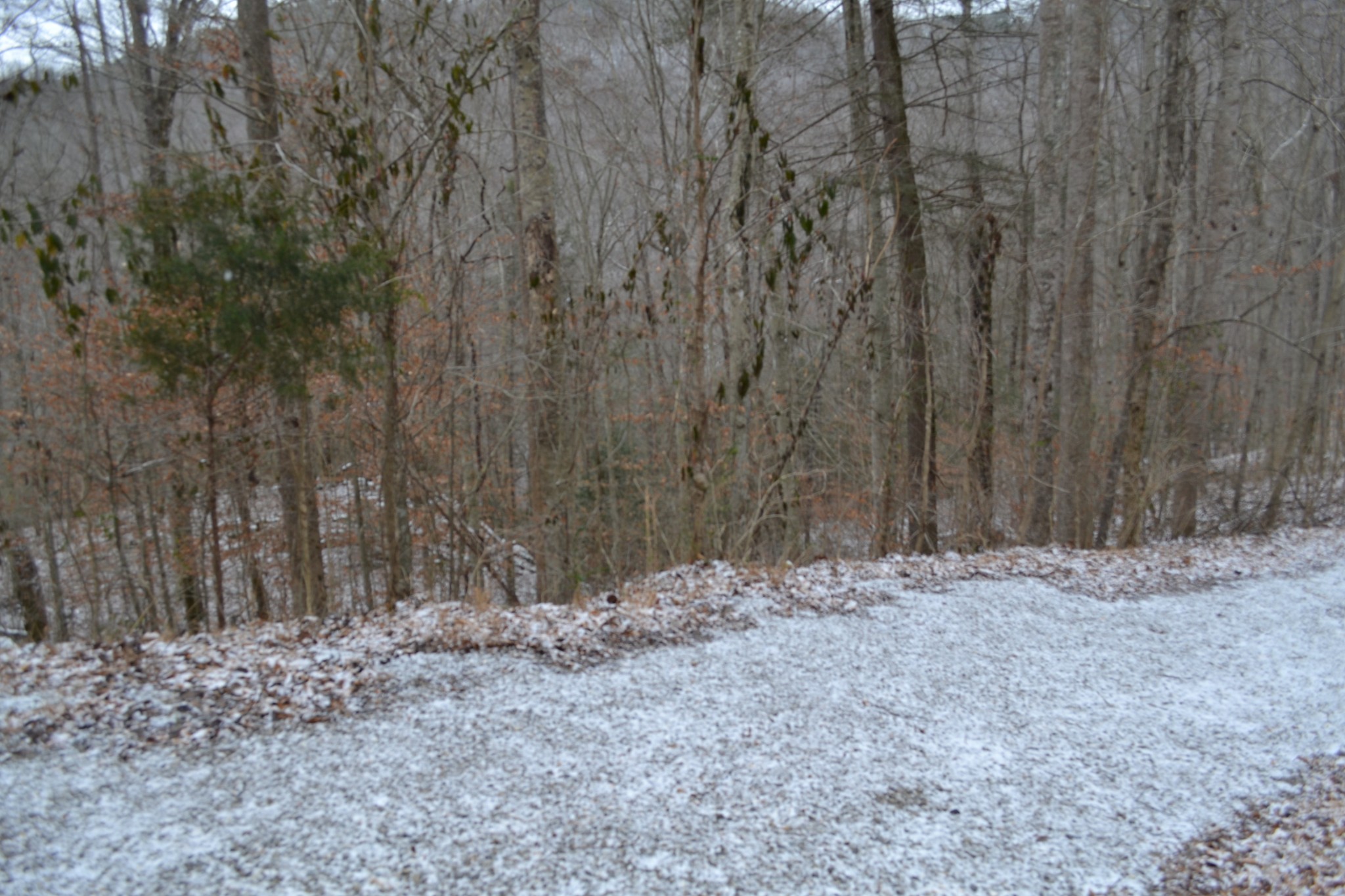 0 Apache Road Jamestown TN 38556