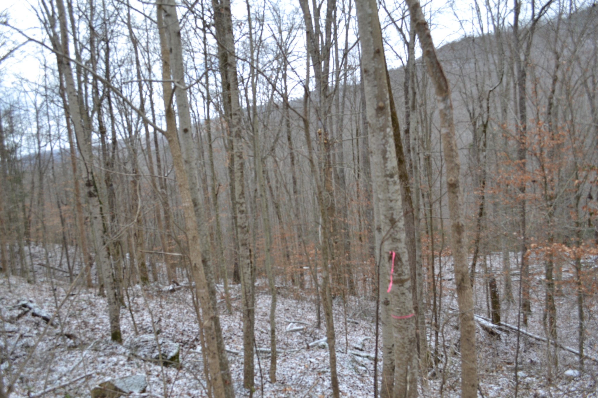 0 Apache Road Jamestown TN 38556