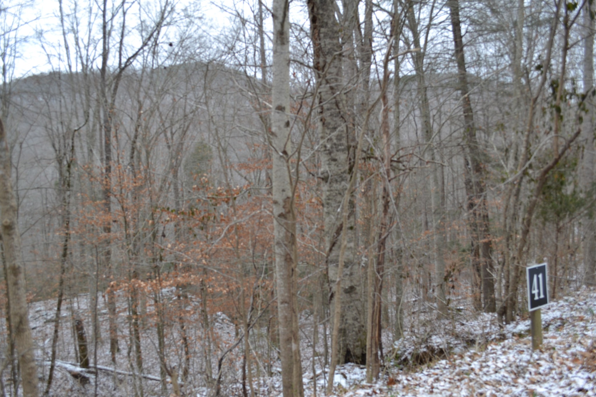 0 Apache Road Jamestown TN 38556
