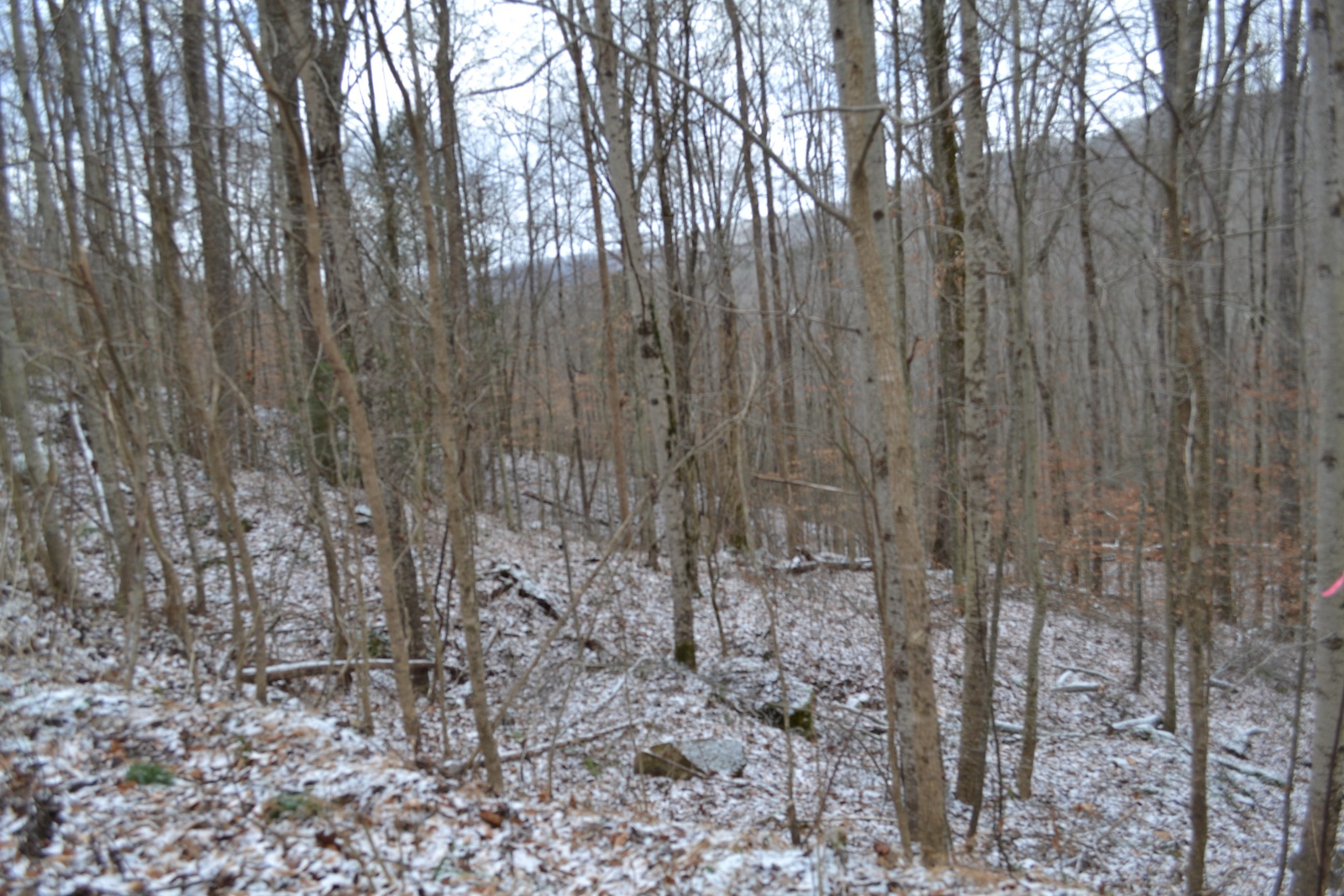 0 Apache Road Jamestown TN 38556