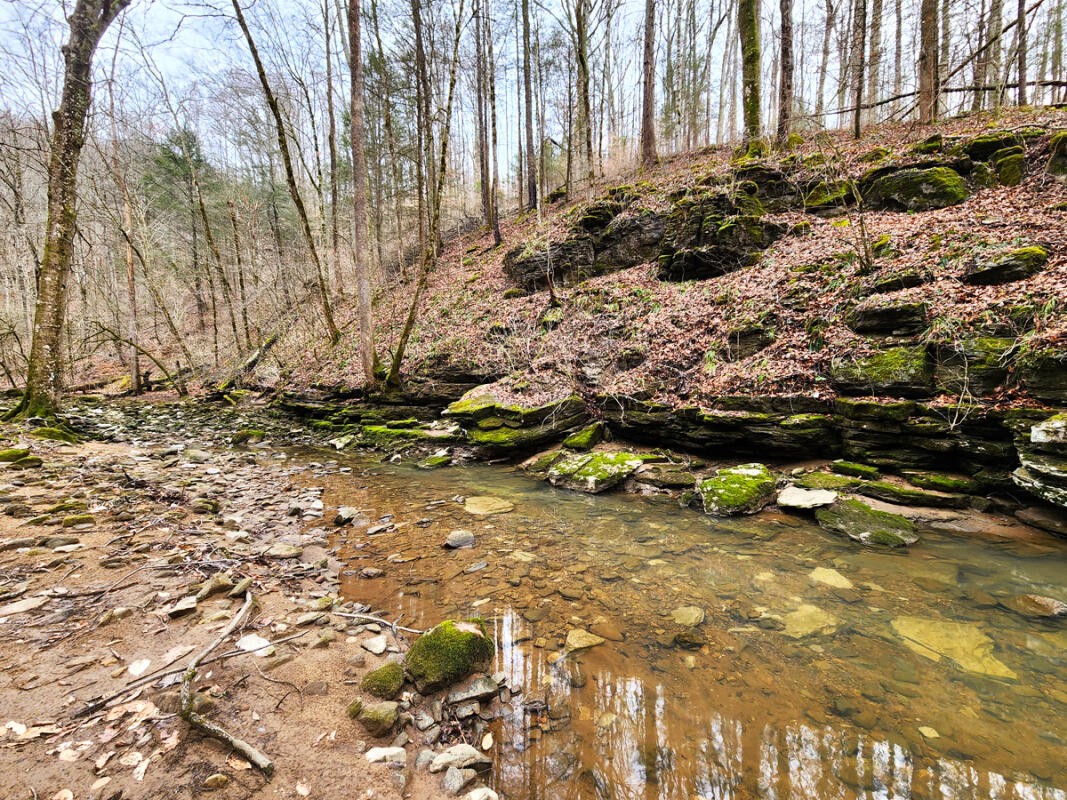 0 Apache Road Jamestown TN 38556