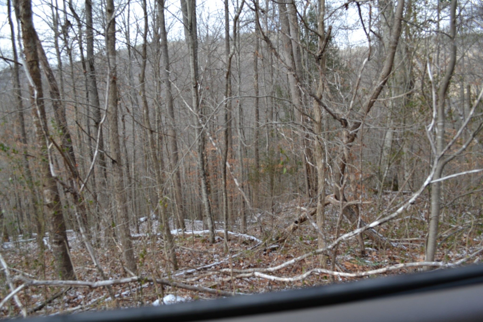0 Apache Road Jamestown TN 38556