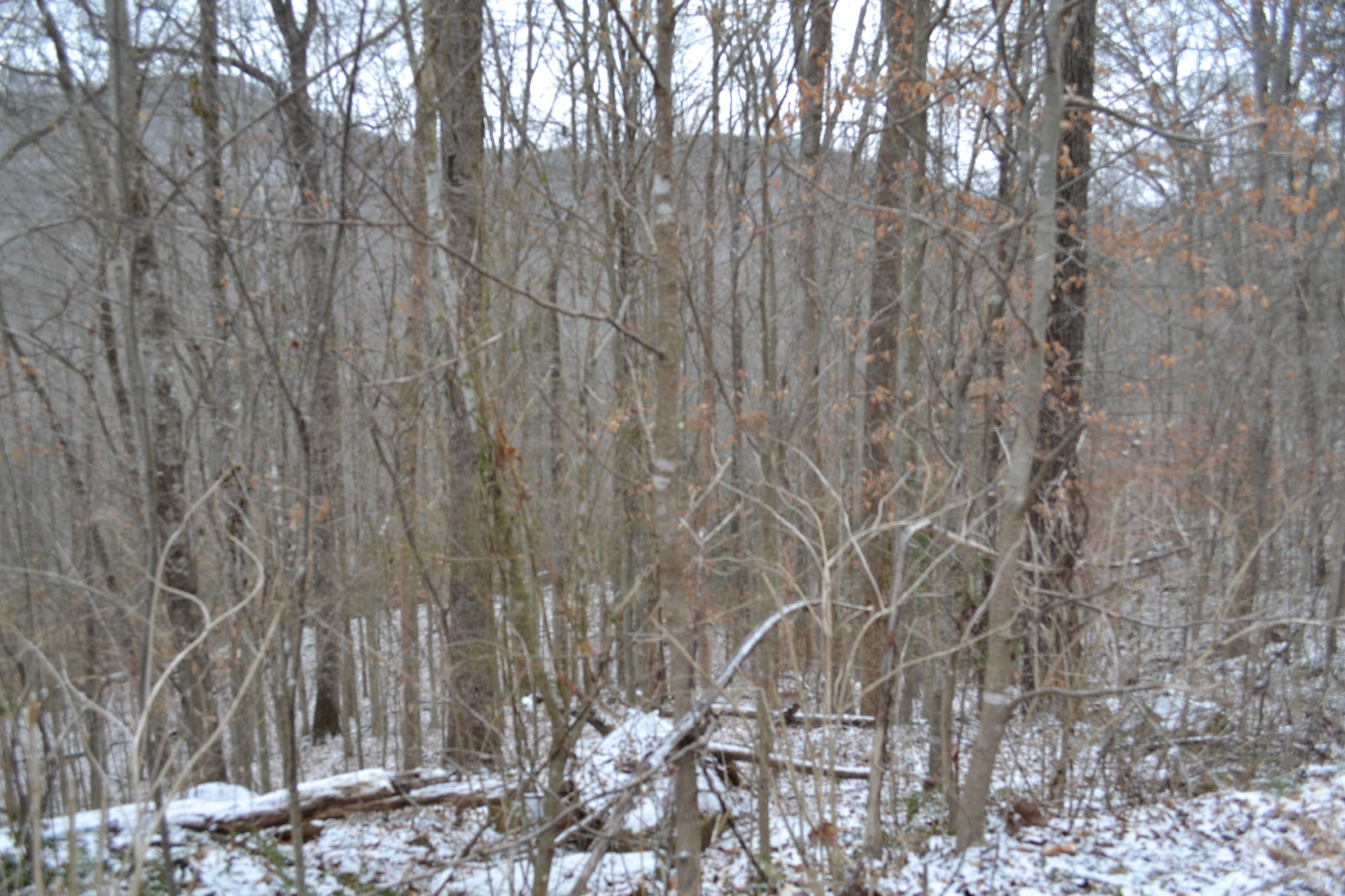 0 Apache Road Jamestown TN 38556