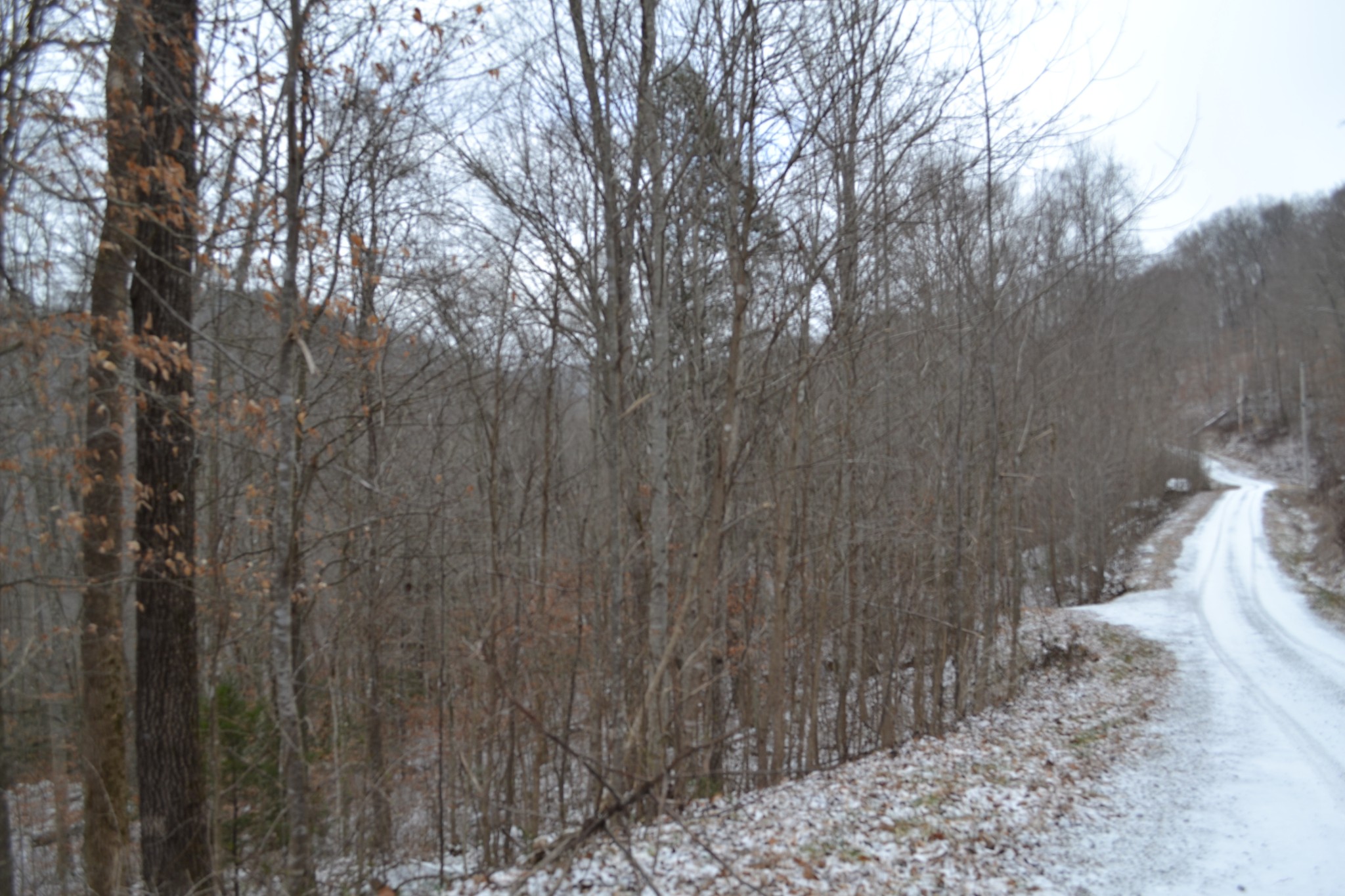 0 Apache Road Jamestown TN 38556