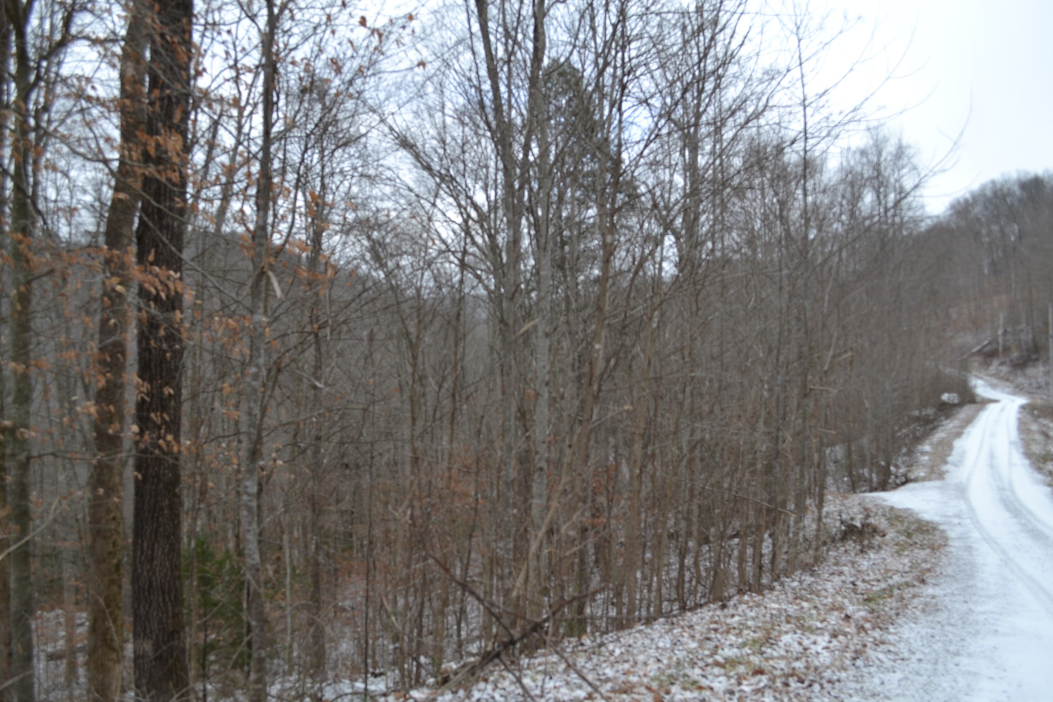 0 Apache Road Jamestown TN 38556