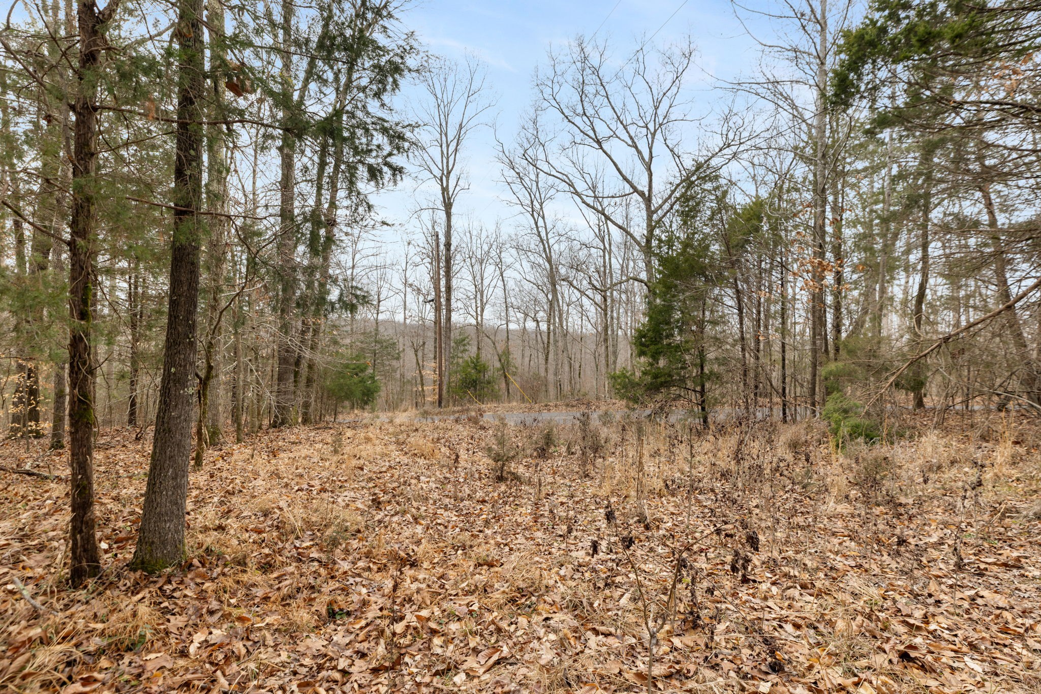 0 Griffintown Road White Bluff TN 37187