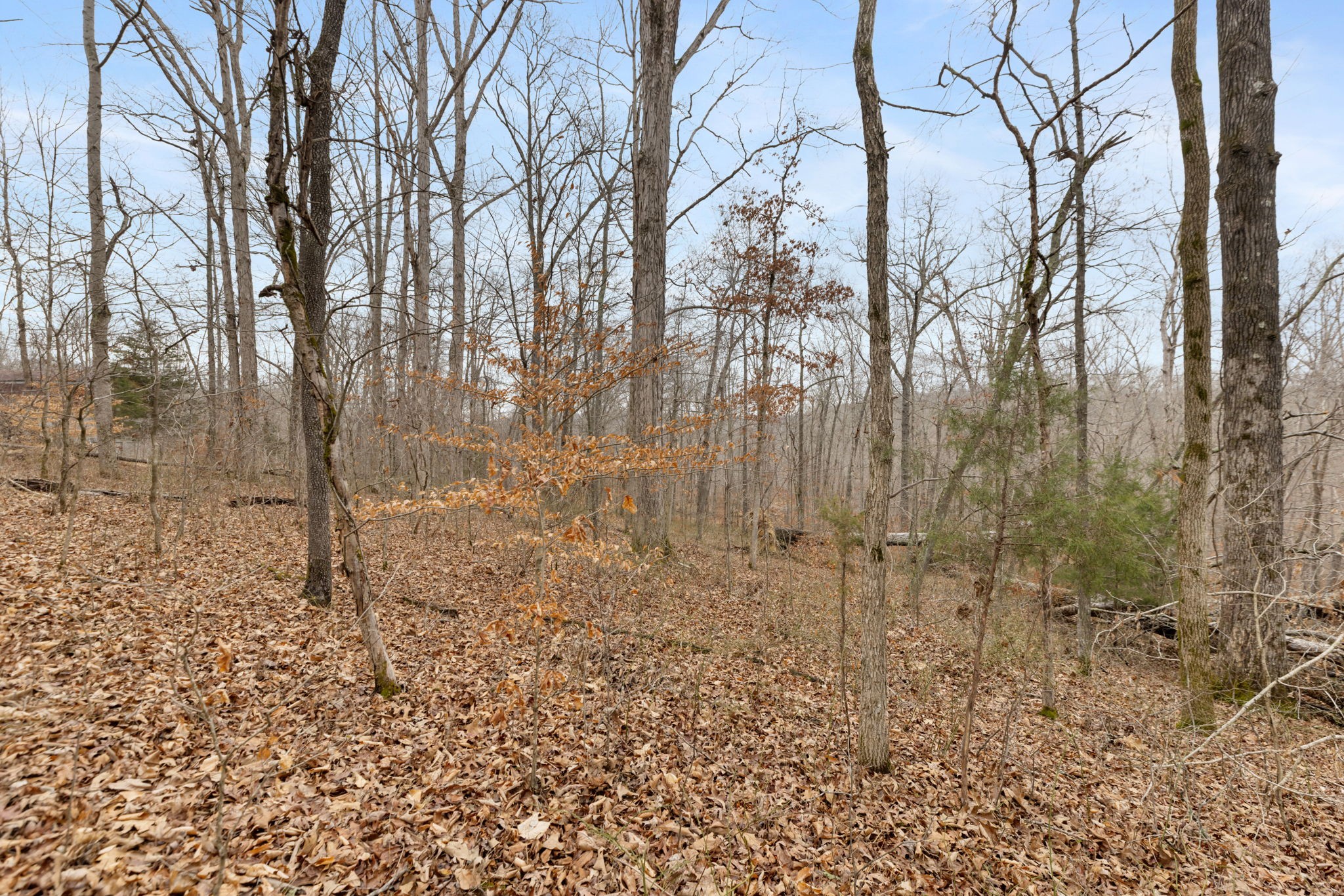 0 Griffintown Road White Bluff TN 37187