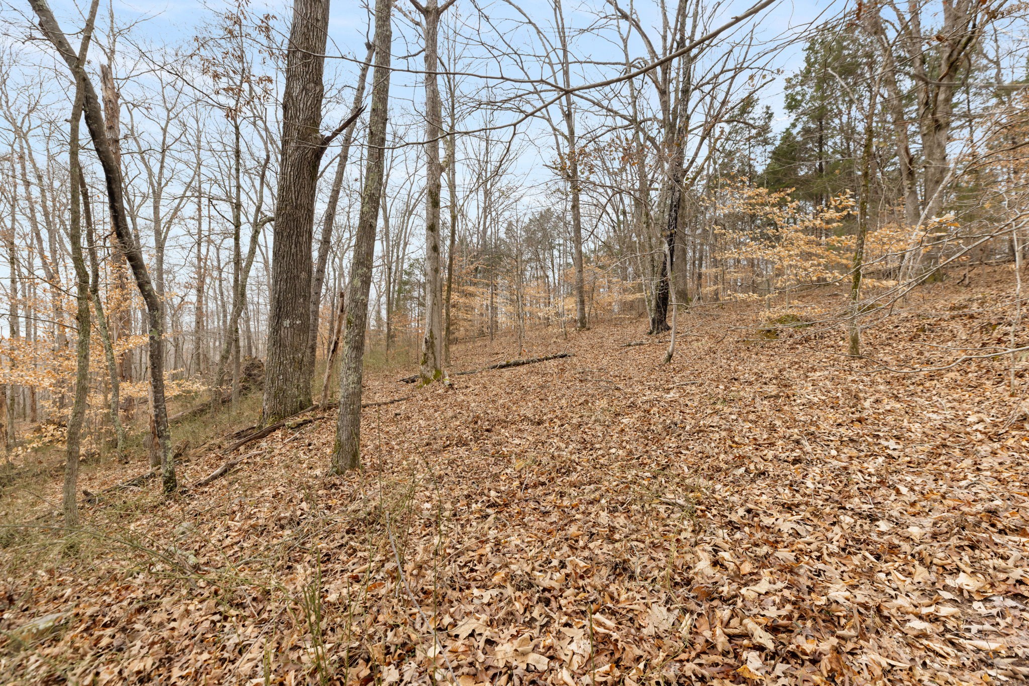 0 Griffintown Road White Bluff TN 37187